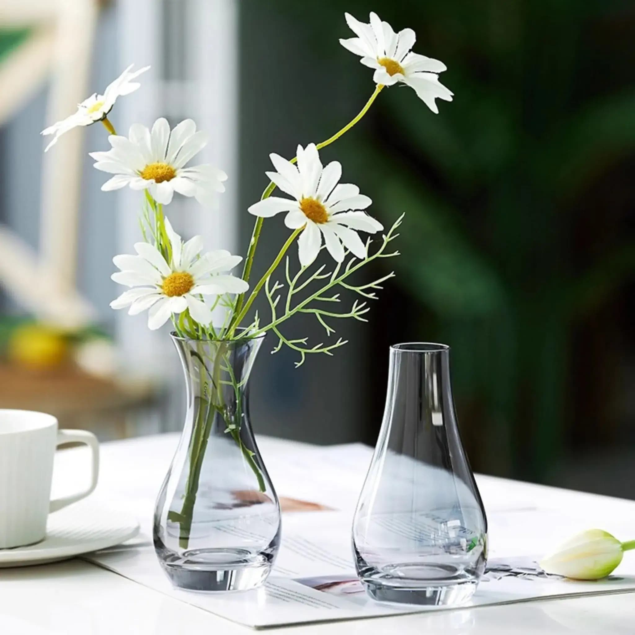 Petite Flare-Rim Hydroponic Glass Vase